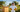 childrens-beekeeping-suit