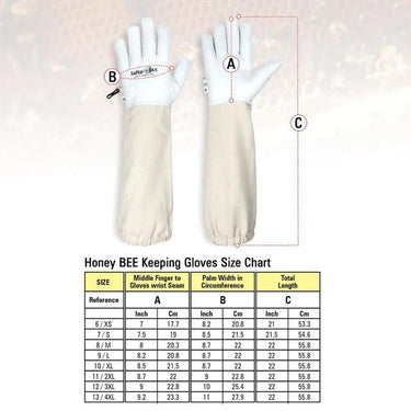 Bee Hive Starter Kit UK 