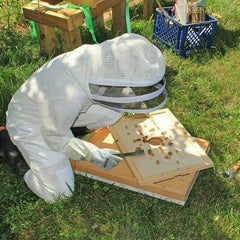 Childrens Beekeeping Gloves 